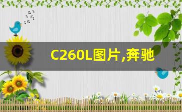 C260L图片,奔驰进口的C 260 L多少钱